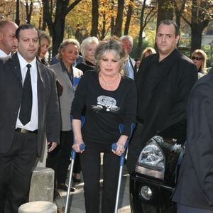 Toute la France espère un rétablissement rapide pour cette légende du 7e art.

Brigitte Bardot célébre les 20 ans de sa fondation pour les animaux le 28 septembre 2006 au théatre Marigny 

JLPPA / Bestimage