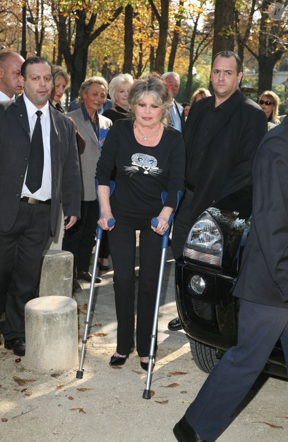 Toute la France espère un rétablissement rapide pour cette légende du 7e art.

Brigitte Bardot célébre les 20 ans de sa fondation pour les animaux le 28 septembre 2006 au théatre Marigny 

JLPPA / Bestimage