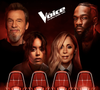 Prochainement, TF1 va lancer une nouvelle saison de "The Voice".

The Voice bientôt de retour sur TF1 avec un jury inédit !