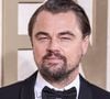 Il a fait l'acquisition d'une île toute entière

Beverly Hills, CA - La 81e édition des Golden Globe Awards a eu lieu à l'hôtel Beverly Hilton de Beverly Hills. Sur la photo : Leonardo DiCaprio
Backgrid USA / Bestimage