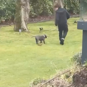 Capture Instagram - Vitaa