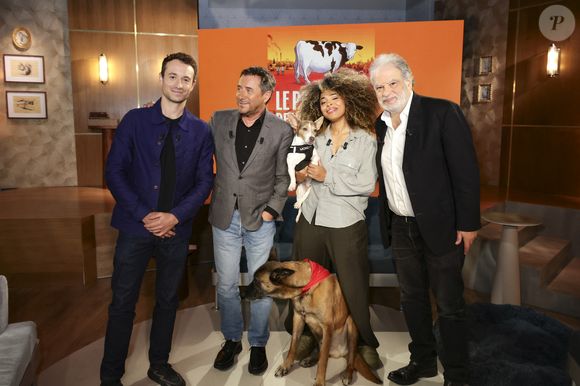 Hugo Clément, Bernard Montiel, Oli et son chien Monda, Maître Olivia Symniacos et Raphaël Mezrahi sur plateau de l'émission "Animalement Vôtre" présentée par B.Montiel et diffusée le 1er février 2026 sur France 3, à Paris, France, le 3 décembre 2025. © Jack Tribeca/Bestimage