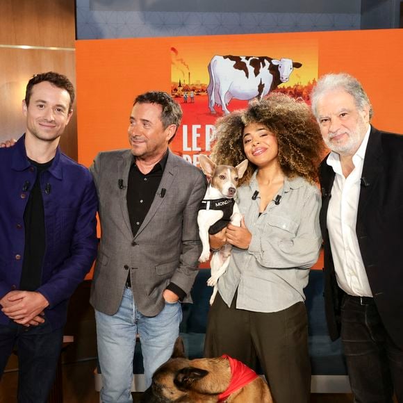Hugo Clément, Bernard Montiel, Oli et son chien Monda, Maître Olivia Symniacos et Raphaël Mezrahi sur plateau de l'émission "Animalement Vôtre" présentée par B.Montiel et diffusée le 1er février 2026 sur France 3, à Paris, France, le 3 décembre 2025. © Jack Tribeca/Bestimage