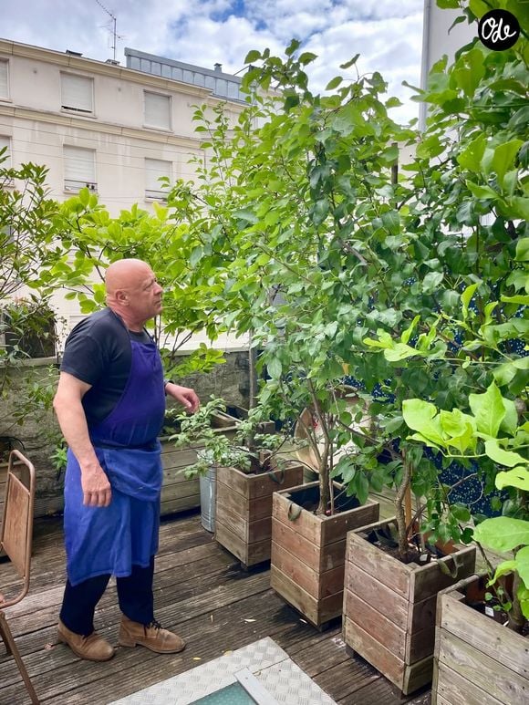 Cette terrasse complète une maison atypique dotée d'une immense cuisine. 

Thierry Marx ouvre les portes de son potager privé, sur le toit de sa maison.