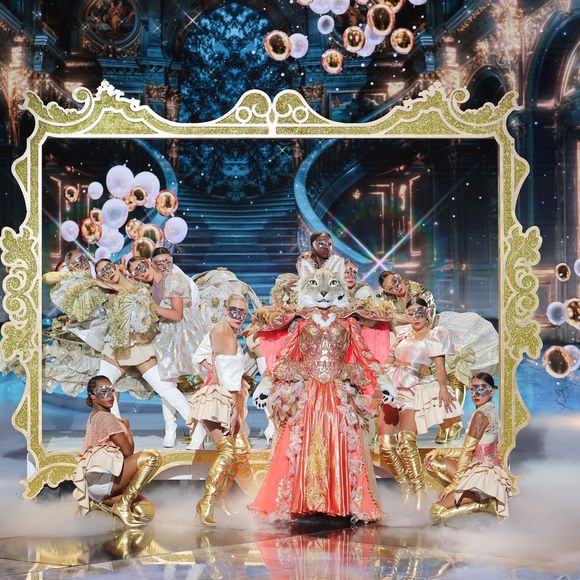 Image de la saison 8 de "Mask Singer" © LAURENT VU / TF1