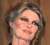 LE 7 janvier 2026 étaient organisées à Saint-Tropez les obsèques de Brigitte Bardot. 
Archives Brigitte Bardot
JLPPA / Bestimage
