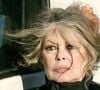 "La Madrague est moins le reflet de moi" a confié Brigitte Bardot aux caméras de BFMTV.
La légende du cinéma français Brigitte Bardot, devenue une fervente défenseuse des animaux, visite un centre de protection des animaux à Nice, dans le sud de la France. Photo by ABACAPRESS.COM