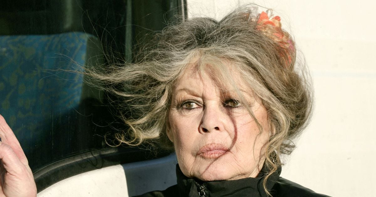 Pour deux raisons, Brigitte Bardot s’est éloignée de La Madrague : découvrez son autre demeure, son refuge