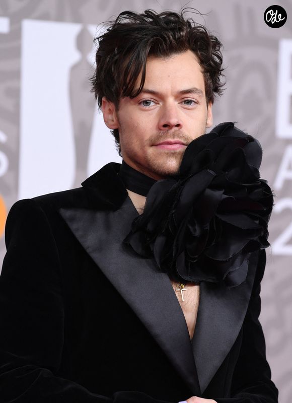 Cette entreprise a lancé une collection dédiée au bien-être sexuel.

Harry Styles au photocall de la cérémonie des Brit Awards à l'O2 Arena à Londres.
AGENCE / BESTIMAGE