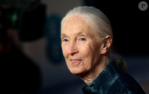 Jane Goodall avec le Lifetime Achievement Award lors des Animal Hero Awards 2018 qui se sont tenus à l'hôtel Grosvenor House, à Londres. La conservatrice britannique et spécialiste des chimpanzés. Photo : Ian West/PA Wire
