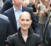 L’annonce a fait l’effet d’un séisme dans le monde de la musique : après une absence prolongée et une attente interminable pour des millions de fans, Céline Dion s’apprête enfin à retrouver la lumière des projecteurs.

Céline Dion à la sortie de l'hôtel Royal Monceau à Paris avant l'ouverture des Jeux Olympiques (JO) de Paris 2024, à Paris, France