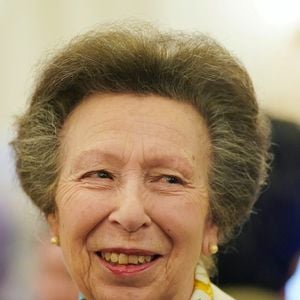 ©Alpha Press 20/02/2025 La Princesse Anne lors d'une réception en l'honneur d'individus et d'organisations exceptionnels contribuant aux efforts humanitaires à travers le monde au Palais de Buckingham à Londres.