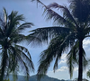Et qui n'est autre que Phuket, en Thailande

Laeticia Hallyday sur Instagram