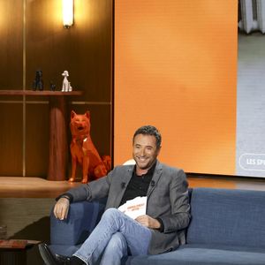 Bernard Montiel sur plateau de l'émission "Animalement Vôtre" présentée par B.Montiel et diffusée le 1er février 2026 sur France 3, à Paris, France, le 3 décembre 2025. © Jack Tribeca/Bestimage