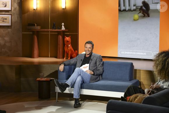 Bernard Montiel sur plateau de l'émission "Animalement Vôtre" présentée par B.Montiel et diffusée le 1er février 2026 sur France 3, à Paris, France, le 3 décembre 2025. © Jack Tribeca/Bestimage