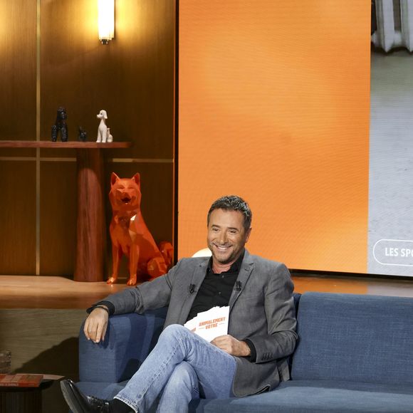 Bernard Montiel sur plateau de l'émission "Animalement Vôtre" présentée par B.Montiel et diffusée le 1er février 2026 sur France 3, à Paris, France, le 3 décembre 2025. © Jack Tribeca/Bestimage