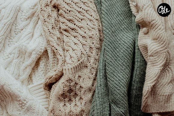 Le cèdre et la lavande peuvent aider à éloigner les mites.

Photo prise par Ruta Gudeliene / Unsplash