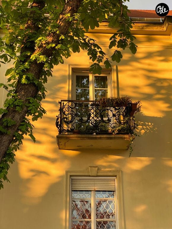 Photo : Noemi Macavel