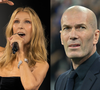 Céline Dion : après Jean-Jacques Goldman, deux nouvelles stars internationales repérées à son concert parisien