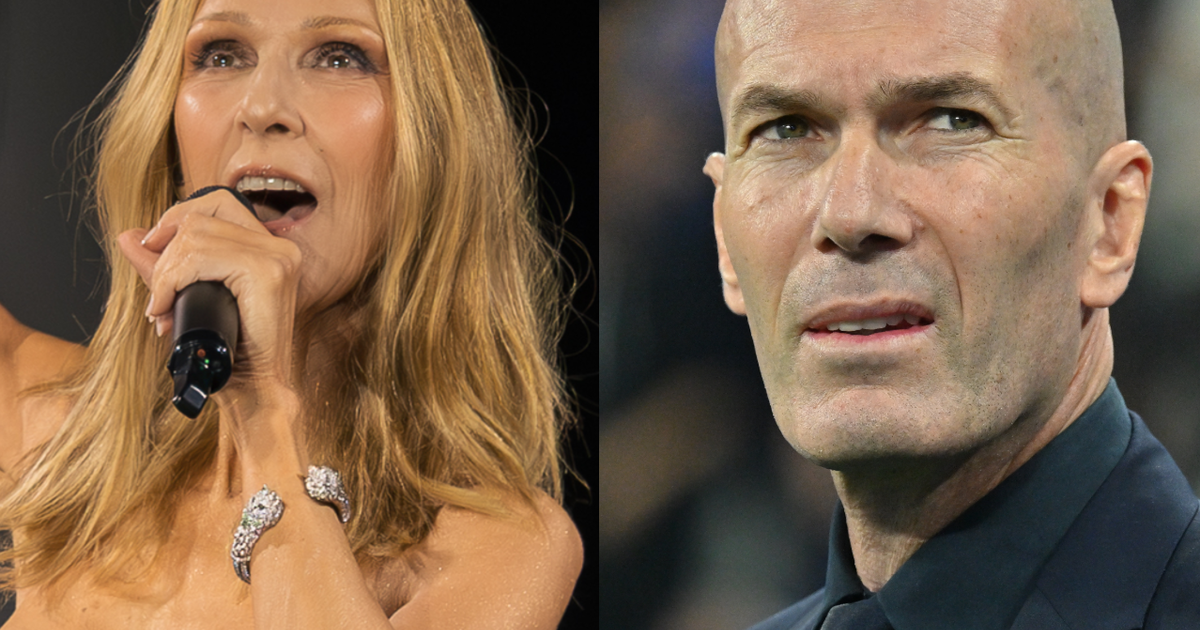 Julia Roberts and Zinedine Zidane Attend Celine Dion's Paris Concert