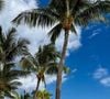 Le cadre inclut plages de sable blanc, eaux cristallines et paysages dignes de cartes postales.

Camille Gottlieb a partagé des images de son séjour paradisiaque sur l'Île Maurice. Capture d'écran Instagram
