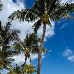 Le cadre inclut plages de sable blanc, eaux cristallines et paysages dignes de cartes postales.

Camille Gottlieb a partagé des images de son séjour paradisiaque sur l'Île Maurice. Capture d'écran Instagram
