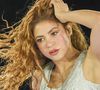 Un terrible accident a coûté la vie à un technicien, ce 26 avril à Rio. Le drame s'est produit lors du montage de la scène de Shakira, installée sur la plage pour un concert.

Shakira est en concert à Santiago dans le cadre de sa tournée "Las Mujeres Ya No Lloran".

©Bestimage