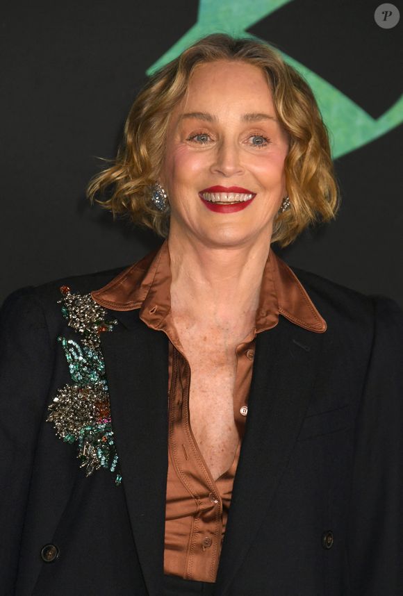 Hollywood, CA Première mondiale de "The Bluff" au TCL Chinese Theater à Hollywood, Californie.



Sur la photo : Sharon Stone