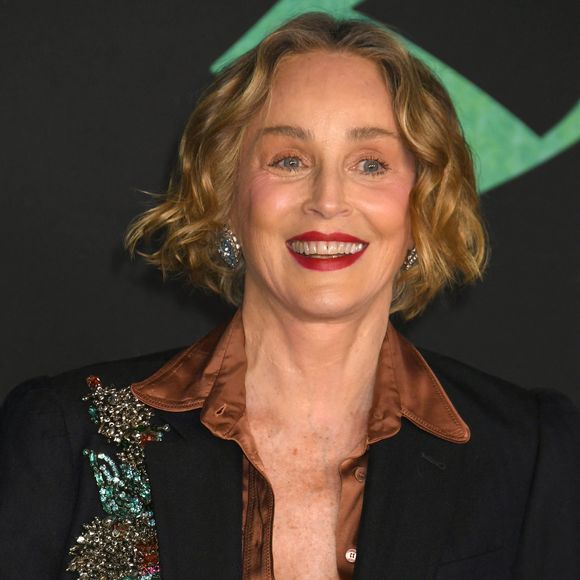 Hollywood, CA Première mondiale de "The Bluff" au TCL Chinese Theater à Hollywood, Californie.



Sur la photo : Sharon Stone