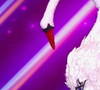 Voici les indices à son sujet !
Le Cygne dans "Mask Singer" sur TF1
