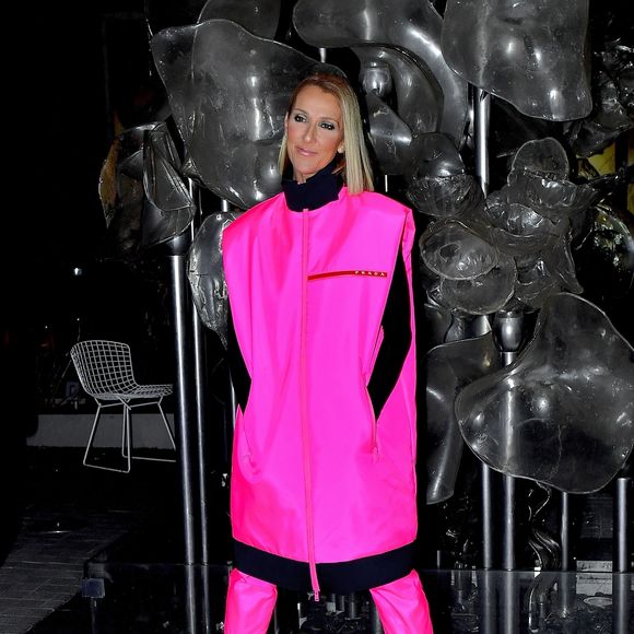 Chaque paire est classée par couleur et accessible via une tablette numérique.

Céline Dion prend la pose pour les photographes après son show au Barclay's Center à New York, le 5 mars 2020.