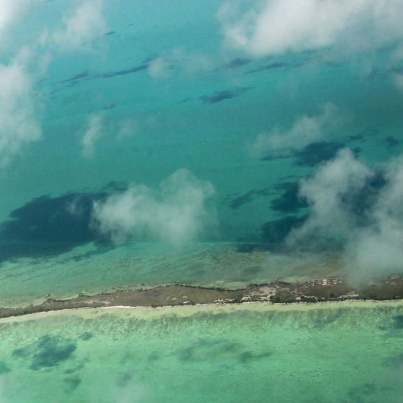 Et a déboursé une somme d'argent considérable pour cela.

Exclusif -  Vues aériennes de Blackadore Caye, l'île privée au large des côtes du Belize que l'acteur et environnementaliste Leonardo DiCaprio a achetée en 2015 pour 1,75 million de dollars. Les plans de DiCaprio pour l'île comprennent une station de recherche axée sur le changement climatique, un hôtel, 36 bungalows de villégiature et 36 villas immobilières. Le complexe devait ouvrir ses portes en 2018, puis à nouveau en 2020, mais comme ces images exclusives le montrent, les seules structures de l'île semblent être un hangar et une petite cabane ombragée. L'île est bordée de palmiers mourants et le rivage est recouvert d'algues vertes à Blackadore Caye, au Belize, le 5 juin 2021. Coleman-Rayner / Bestimage