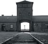 Viktor Frankl a survécu aux camps de concentration nazis et a perdu sa famille durant la Shoah.

Photo prise par Colin C Murphy / Unsplash