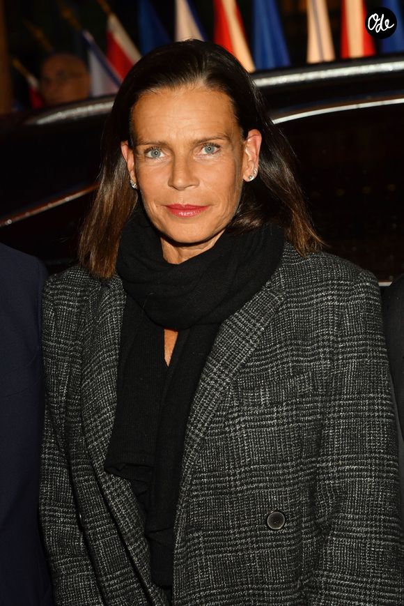 Exclusif - La princesse Stéphanie de Monaco durant le vernissage de l'exposition Le Cercle Enchanté, Collections du Docteur Alain Frère, au musée Masséna à Nice le 7 novembre 2019. © Bruno Bebert/PRM/Bestimage