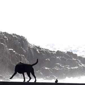 Brigitte Macron profite en solo de son premier jour de vacances au Fort de Brégançon à Bormes-les-Mimosas le 30 juillet 2023. Le président Emmanuel Macron Macron et sa femme Brigitte sont arrivés au Fort de Brégançon samedi soir. Dimanche, Brigitte en sortie seule en combinaison de plongée avec son chien Némo et ses gardes du corps pour faire une ballade en bateau mais, la mer étant trop agitée, la première dame est rentrée plus vite que prévu avant de rejoindre son mari pour dîner.