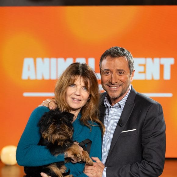 Gwendoline Hamon, Bernard Montiel sur plateau de l'émission "Animalement Vôtre" présentée par Bernard Montiel et diffusée le 15 février 2026 sur France 3, à Paris, France, le 13 janvier 2026. 

Photo de Julien Sarkissian/Bestimage