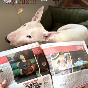 Capture d'écran du compte Instagram de Charlotte Gainsbourg.