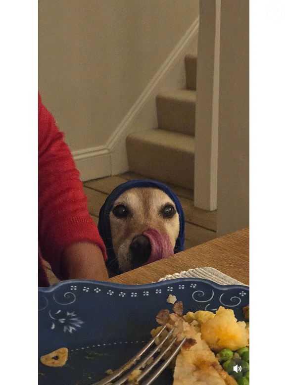 En décembre 2025, en présentant sa chanson sur Instagram, Mika avait déclaré au micro : "16 ans à mes côtés et toujours parfaite. Il était temps qu'elle ait sa propre chanson". 

Le chien disparu du chanteur Mika