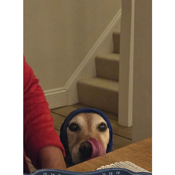 En décembre 2025, en présentant sa chanson sur Instagram, Mika avait déclaré au micro : "16 ans à mes côtés et toujours parfaite. Il était temps qu'elle ait sa propre chanson". 

Le chien disparu du chanteur Mika