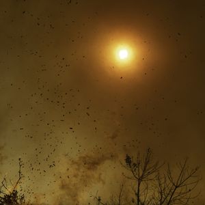 Incendies 2025 en Californie à Pacific Palisades - le 11 janvier 2025 © Mark Edward Harris/ZUMA Press Wire