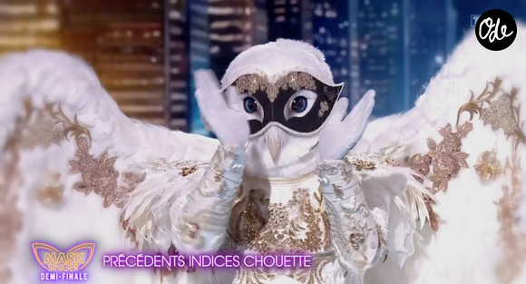 La Chouette dans Mask Singer - capture d'écran TF1