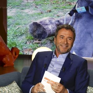 Exclusif - Bernard Montiel, sur plateau de la nouvelle émission "Animalement Vôtre" présentée par Bernard Montiel et diffusée le 9 novembre sur France 3, à Paris, France, le 13 octobre 2025. © Jack Tribeca/Bestimage