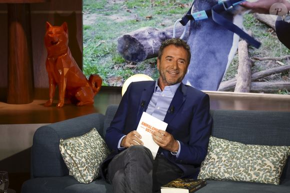 Exclusif - Bernard Montiel, sur plateau de la nouvelle émission "Animalement Vôtre" présentée par Bernard Montiel et diffusée le 9 novembre sur France 3, à Paris, France, le 13 octobre 2025. © Jack Tribeca/Bestimage