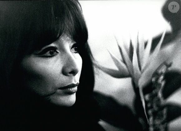 Archie de Juliette Greco (Image : ? Keystone Press Agency/ZUMA Press Wire)