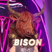 Voici selon nous qui se cache sous le costume du Bison dans Mask Singer