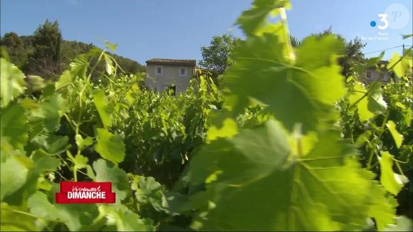 Michel Drucker dévoile des images de la maison de Mimie Mathy située à Vaison-la-Romaine dans l'émission Vivement dimanche le 9 février 2025 sur France 3.