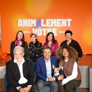 Exclusif - Maître Olivia Symniacos, Raphaël Mezrahi, Docteur Sylvain Hawawini, Docteur Farah Kesri, Bernard Montiel, Maître Graziella Dode,Oli et son chien Monday, lors de la présentation de l'équipe et du plateau de la nouvelle émission "Animalement Vôtre" présentée par Bernard Montiel et diffusée le dimanche 9 novembre dès 15.45 sur France 3, à Paris, France, le 13 octobre 2025. © Jack Tribeca/Bestimage