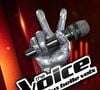Le chanteur a exprimé sa déception après la diffusion incomplète de sa prestation.

The Voice sur TF1.