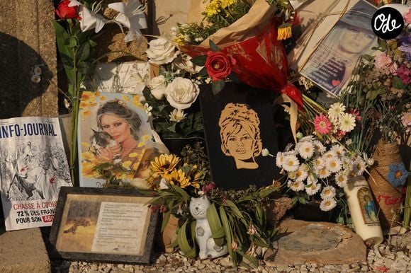 Selon Var-Matin, cette consigne "a tendance à ulcérer les plus fanatiques", au point que certains entrent malgré tout avec leur animal dans les bras.

Les touristes se recueillent en plein été sur la tombe de Brigitte Bardot, le 10 août 2026. 

© Franz Chavaroche / Bestimage