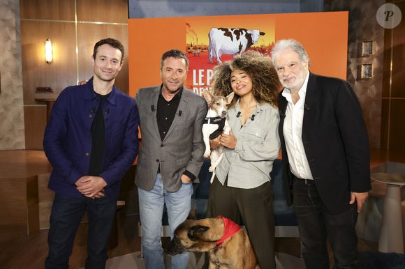 Hugo Clément, Bernard Montiel, Oli et son chien Monda, Maître Olivia Symniacos et Raphaël Mezrahi sur plateau de l'émission "Animalement Vôtre" présentée par B.Montiel et diffusée le 1er février 2026 sur France 3, à Paris, France, le 3 décembre 2025. © Jack Tribeca/Bestimage